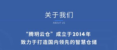 鲁班电商教练：打造成功的电商业务