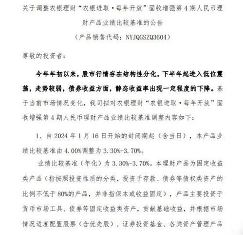 我的理财计划200字