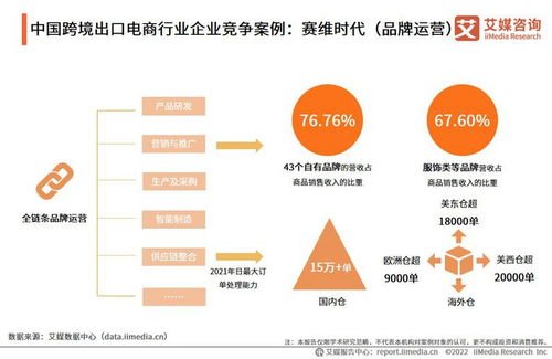 电商成功案例分析