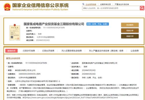 国有六大行集体出资亿元金融巨头的社会责任与经济影响