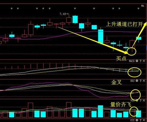 胡锡进总亏损首次破10万元，股市风云与个人抉择的反思