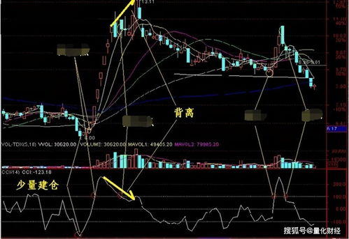 胡锡进总亏损首次破10万元，股市风云与个人抉择的反思