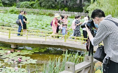 文旅局回应女子在景区被闺蜜按水里，守护游客安全，倡导文明旅游