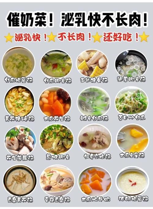 坐月子菜谱美食研究传统与现代的融合