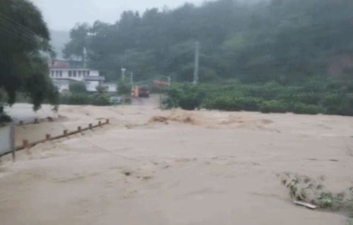 陕西北洛河洪水肆虐，挑战与应对