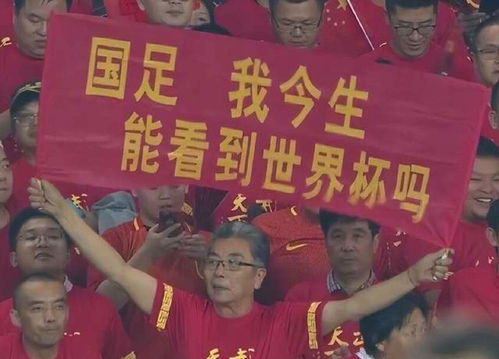 媒体谈中国队收获，不仅是40枚金牌