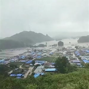 辽宁葫芦岛建昌全县停工停产背后的挑战与对策