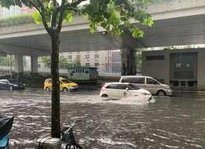 台风过境暴雨袭击上海，开车如开船