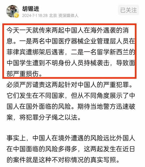 中企高管在菲遭撕票事件解析，嫌犯李娜落网背后的警示