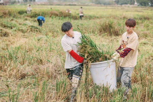 十个勤天团综你好种地少年2定档——探寻青春种地的热血之旅