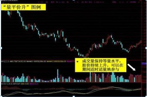 全市场仅8股下跌，探究股市的韧性与其背后的驱动力