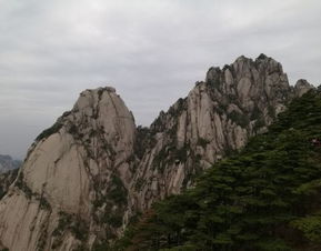 黄山山顶厕所过夜事件，景区回应与反思