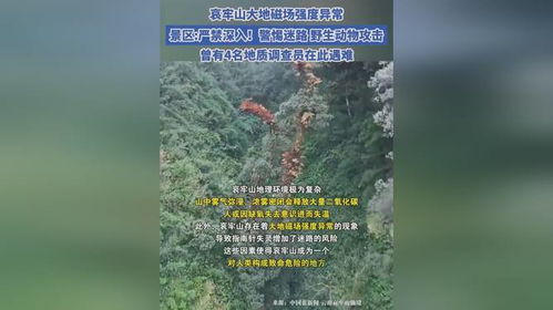 哀牢山大地磁场强度异常现象探究