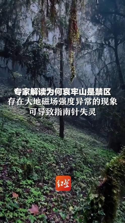 哀牢山大地磁场强度异常现象探究