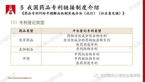 官方未颁个人数据资产拥有权确权凭证下的挑战与机遇