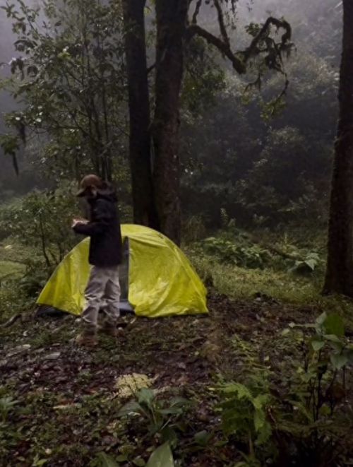 女博主为擅闯哀牢山道歉，反思与启示