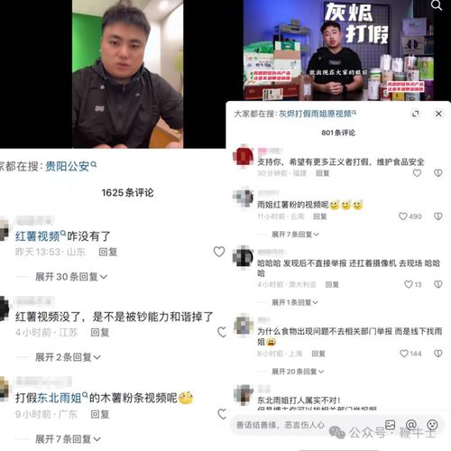 央视调查东北雨姐事件始末，真相与反思