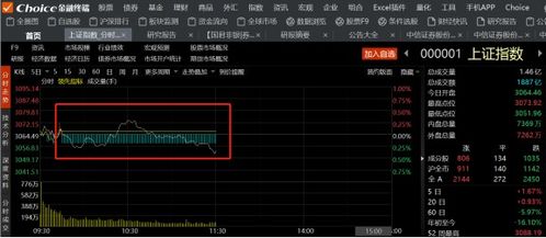 炒股四天亏损32万，程序员停更背后的疲惫与反思