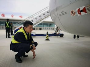 深圳航空一客舱烟雾事件，航班紧急返航与乘客安全至上