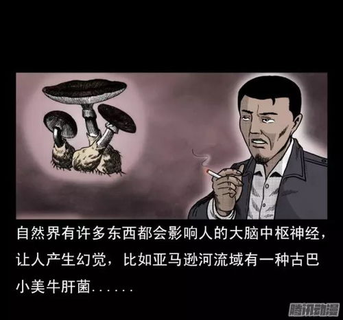 黑白决，真实案件交织的起点