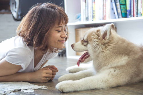 市监所回应女子未接电话被骂狗东西，尊重与沟通的重要性