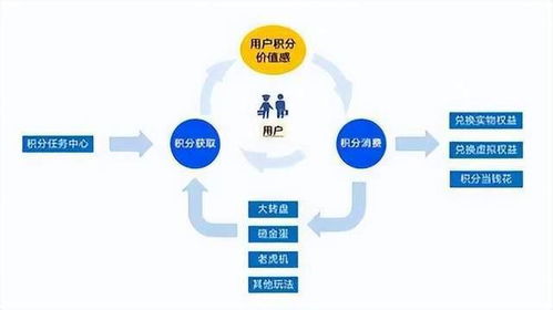 全面解析与使用体验