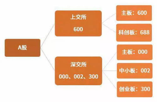 中国企业身份的探讨与认知