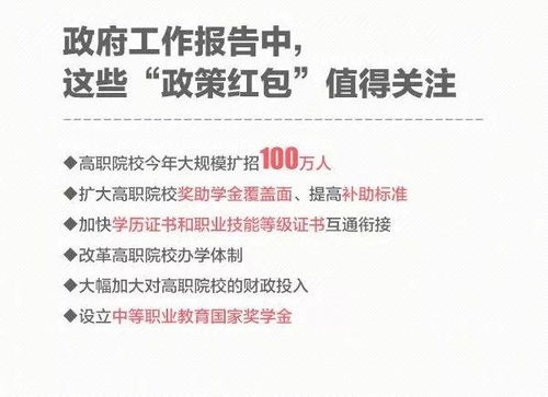 聚焦2025年考研热潮，388万人报名背后的教育选择与挑战