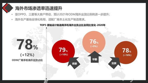 经典单反的市场表现与价值分析