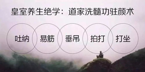 缅怀叶嘉莹先生，诗意人生，百年传承