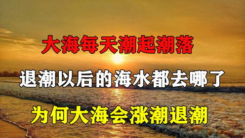 流量退潮之后，晓华的新起点