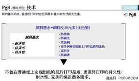 全面解析性能与特色