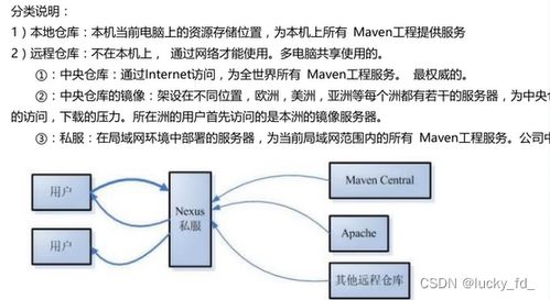 全面解析与评测