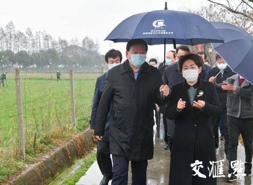 湖南省委书记深入田间地头暗访，推动农业高质量发展