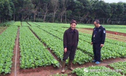 湖南省委书记深入田间地头暗访，推动农业高质量发展