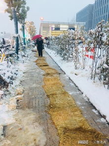 韩国大雪，中国旅客的回家之路