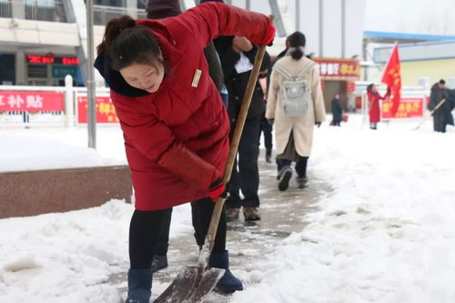 韩国大雪，中国旅客的回家之路