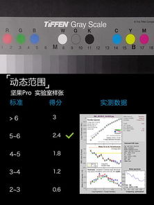 全面解析与深度评测