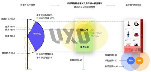 全面解析与用户体验分享