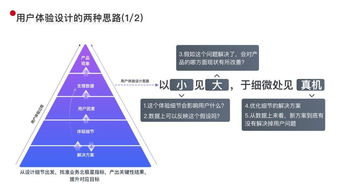 全面解析与用户体验分享