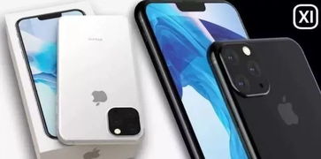 iPhone 13 预计价格的背景与市场期待