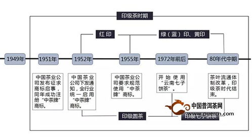 从采摘到保存的全流程指南