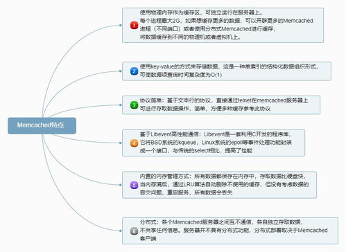 深入了解其性能与特点