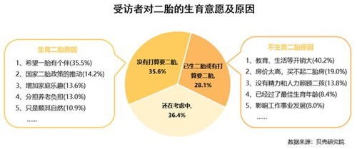 王兴兴的新视角，校园教育的滞后与创新需求