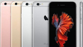 深入解析 iPhone 6s Plus 的价格，价值几何？