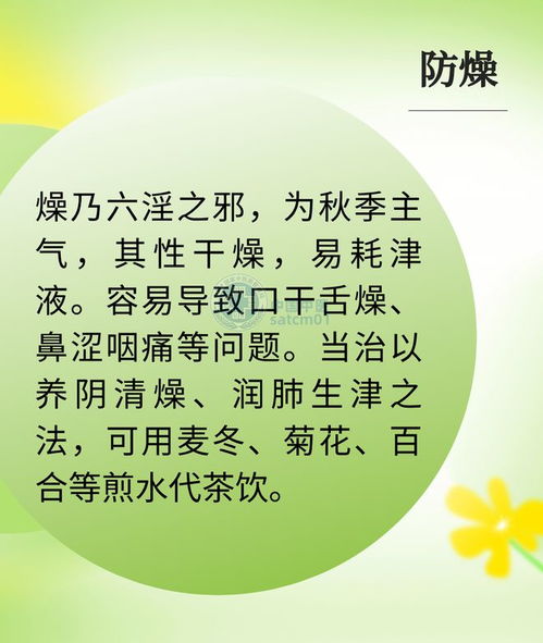 掌握健康养生的秘诀